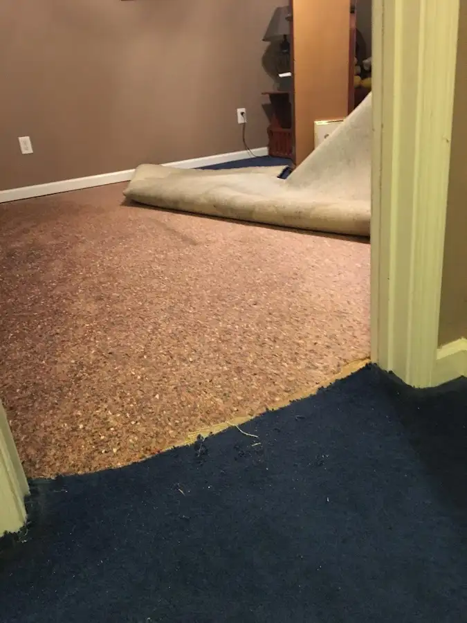 Carpet pad removal revealing water damage during Drying & Dehumidification in Signal Hill